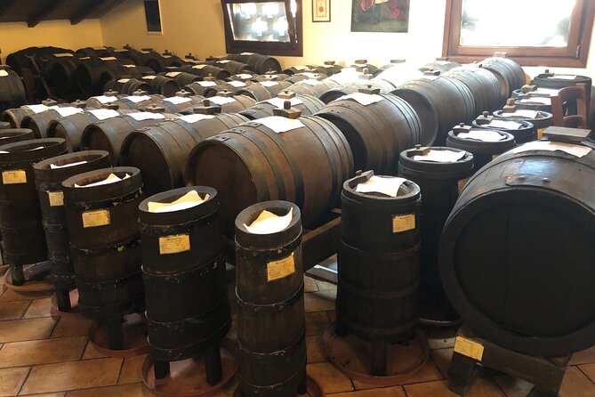 All In: Lambo,Ferrari,Balsamic,Wine, Parmigiano, PrivateTransport - Gavioli Antica Cantina: wine museum + cellar tastings