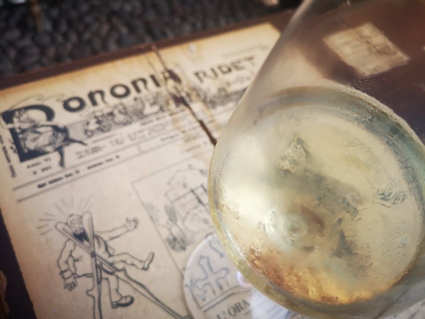 Bologna: City Center Guided Wine Walking Tour - Meeting at Piazza del Nettuno: easy to find, very central
