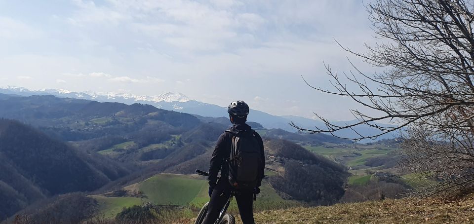 Bologna: E-Bike Guided Tour with Aperitivo - The San Luca Moment: When the Workout Turns Into a Great Story