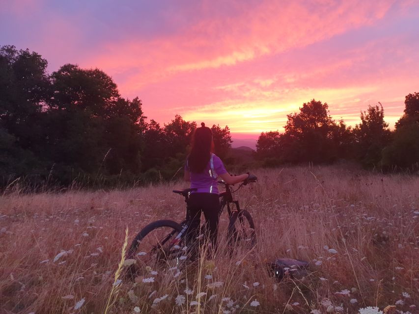 Bologna: E-Bike Guided Tour with Aperitivo - Aperitivo Payoff: Local Wine and Typical Bites at the End