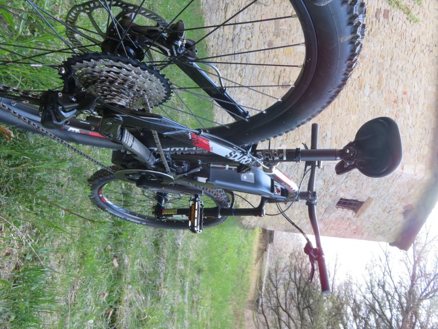 Bologna: E-Bike Guided Tour with Aperitivo - The Weather Rule: Why Your Guide May Change the Route