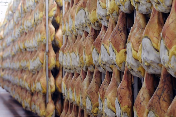 Bologna Food Experience: Factory tours & Family-Style Lunch - Castelvetro di Modena Balsamic Vinegar: Barrel Room Patience