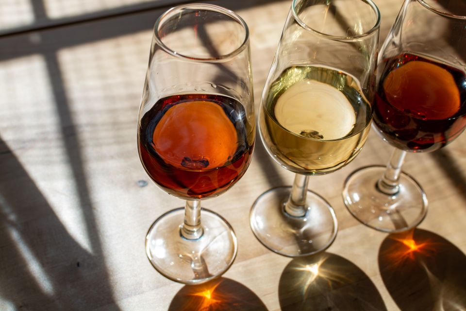 Bologna: Italian Red Wine and Food Tasting - Price and Value: What $124.61 Buys You (and Why It Might Be Worth It)