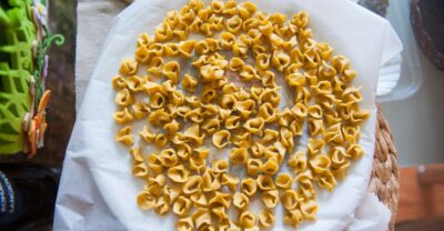 Bologna: Market and Cooking Class at a Local's Home - From Market Bags to a Home Workstation: How the Class Actually Feels