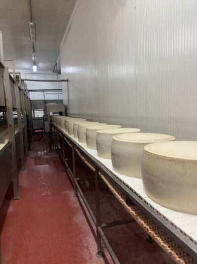 Bologna/Modena: Parmesan,Ferrari, Balsamic,Wine Tour w/Lunch - Parmigiano Reggiano at the source: curdling, copper heaters, wheel cathedrals