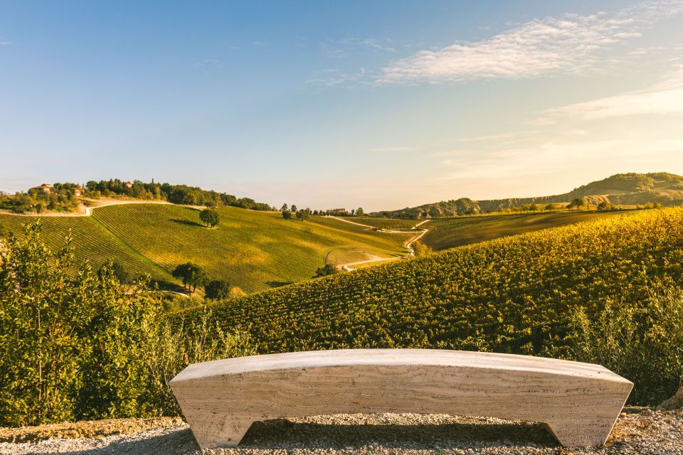 Bologna: Olive Grove and Vineyard Tour with Product Tastings - Inside the Cellar and Production Story: Wine as a Seasonal Ritual
