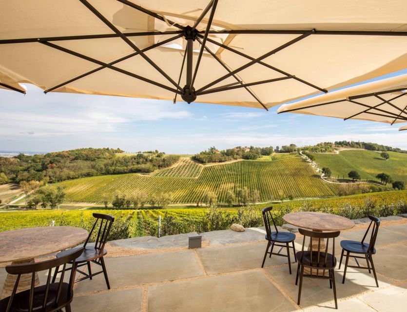 Bologna: Olive Grove and Vineyard Tour with Product Tastings - Price and Value at Around $20: When a Short Tour Makes Sense