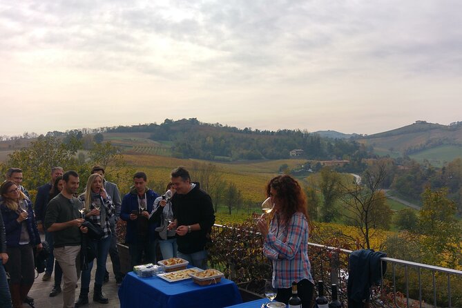 Bologna Wine Tasting & Winery Tour in the Colli Bolognesi - Meeting at Via Antonio Bertoloni in Zola Predosa (and why the location helps)