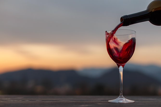 Bologna Wine Tasting & Winery Tour in the Colli Bolognesi - The Tasting: Four Wines, One Producer, and What to Notice