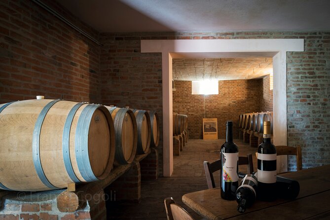 Bologna Wine Tasting & Winery Tour in the Colli Bolognesi - Price and Value: Is $58.87 a Good Deal?