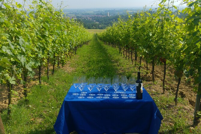 Bologna Wine Tasting & Winery Tour in the Colli Bolognesi - Guides and Group Size: Why Small Helps More Than You Think