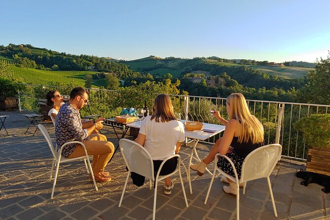 Bologna Wine Tasting & Winery Tour in the Colli Bolognesi - Who This Tour Fits Best (and who might want something else)