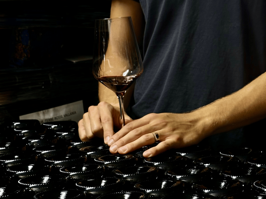 Boutique Winery Tour with Wine Tasting & Food in Bologna - Key highlights you’ll feel right away