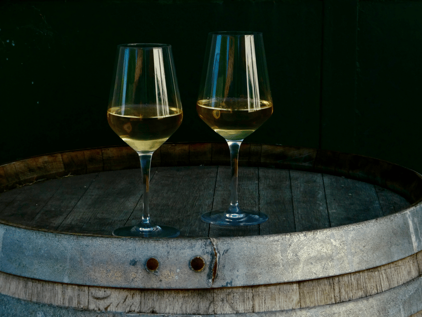 Boutique Winery Tour with Wine Tasting & Food in Bologna - Food pairings that make the wine make sense
