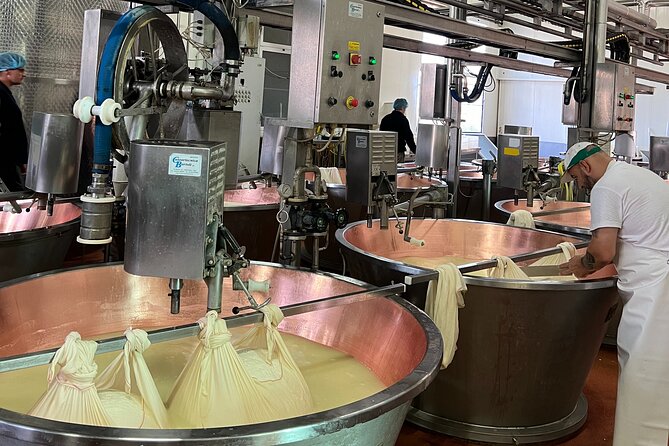 Ferrari, Parmesan and Balsamic Day Tour from Bologna - Key Highlights If You Want a Food-and-Car Day