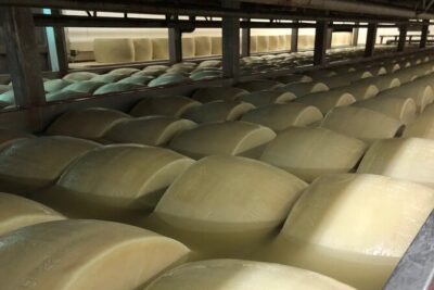 Food Excellences:Prosciutto, Parmigiano, Balsamic,Lunch,Transport - From Bologna pickup to a food day that actually flows
