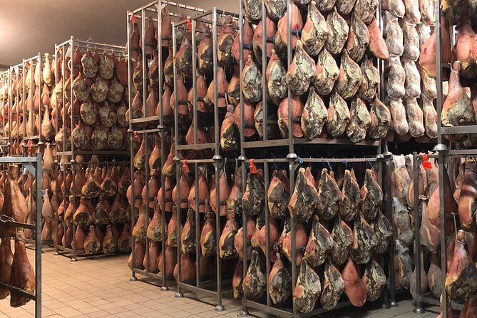 Food Excellences:Prosciutto, Parmigiano, Balsamic,Lunch,Transport - Lunch at the prosciutto producer: where the day becomes real food