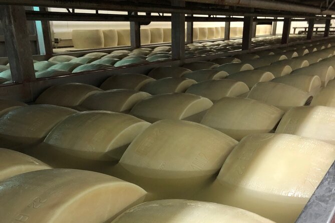 Food Excellences:Prosciutto, Parmigiano, Balsamic,Lunch,Transport - From Bologna pickup to a food day that actually flows