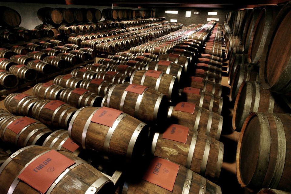 From Bologna: Balsamic Vinegar, Pavarotti and Ferrari Tour - Hotel pickup, private-group pace, and guide language: how it shapes your day