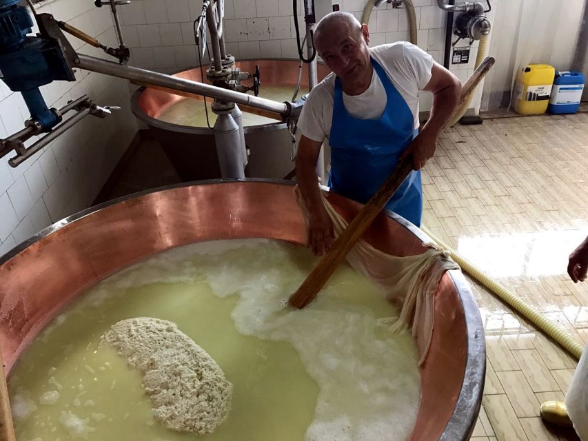 From Bologna: Emilia Excellence Food Tour - Key points to know before you go