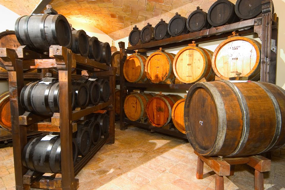 From Bologna: Emilia Excellence Food Tour - The winery and vineyard views: tasting wine and eating like you mean it