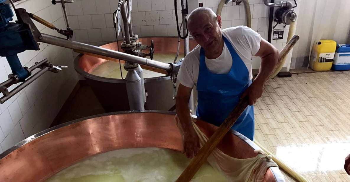 From Bologna: Emilia Excellence Food Tour - The 7-hour rhythm: smooth pickup, small groups, and a driver who knows the road