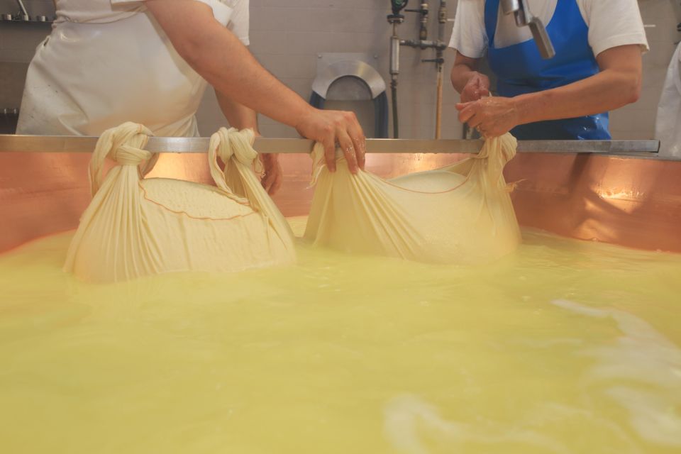 From Bologna: Parma Cheese & Ham Factory Tours and Tastings - Parmigiano Reggiano at the dairy: caldere, brine rooms, and wheel aging