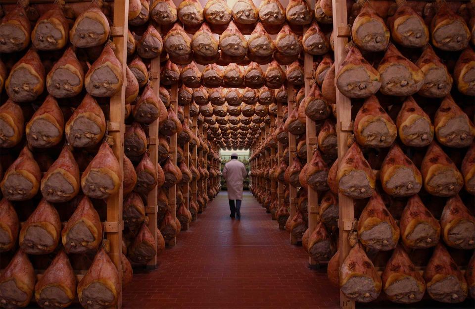 From Bologna: Parma Cheese & Ham Factory Tours and Tastings - The ham and wine tasting: what to expect after the cellar tour