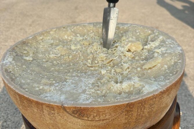 From Bologna: Parmesan Cheese & Balsamic Vinegar Tour+Lunch - Key points to know before you go