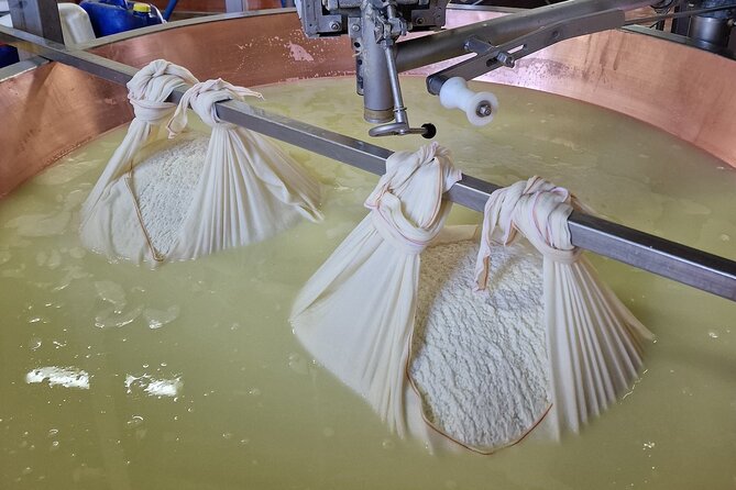 From Bologna: Parmesan Cheese & Balsamic Vinegar Tour+Lunch - Who this tour suits (and who should pick a different one)