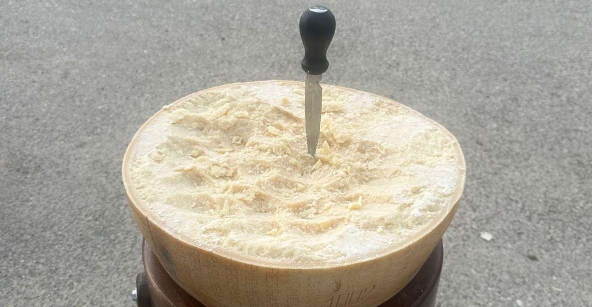 From Bologna: Parmesan Cheese & Balsamic Vinegar Tour+Lunch - Price and value: is $249.23 a fair deal?