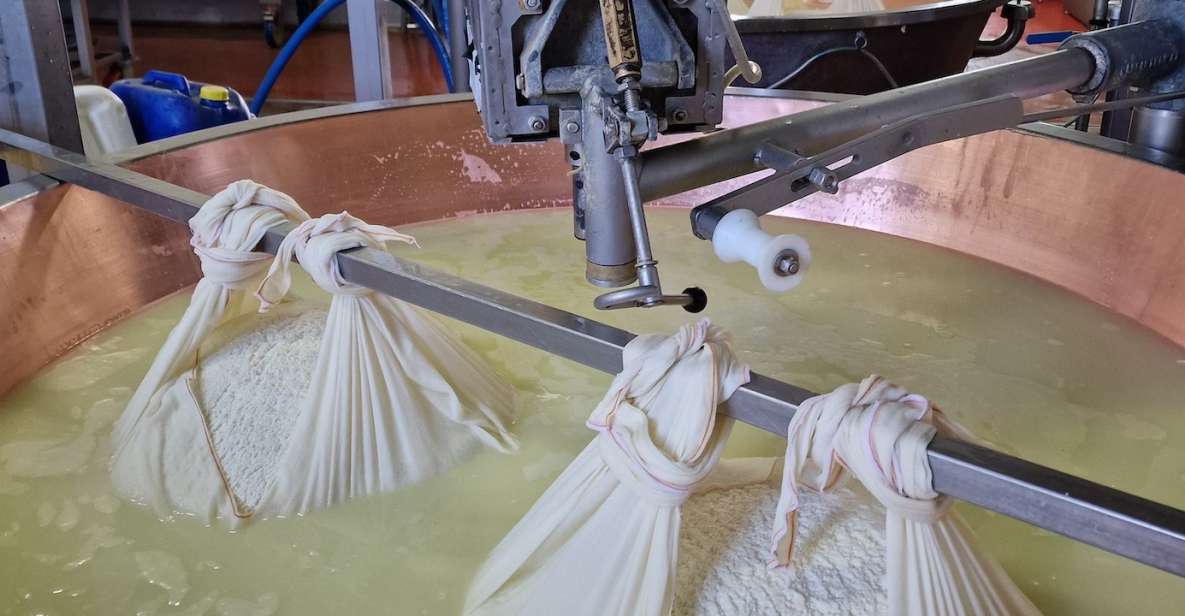From Bologna: Parmesan, Vinegar, Lambrusco with Transfer - Key Points You’ll Actually Care About
