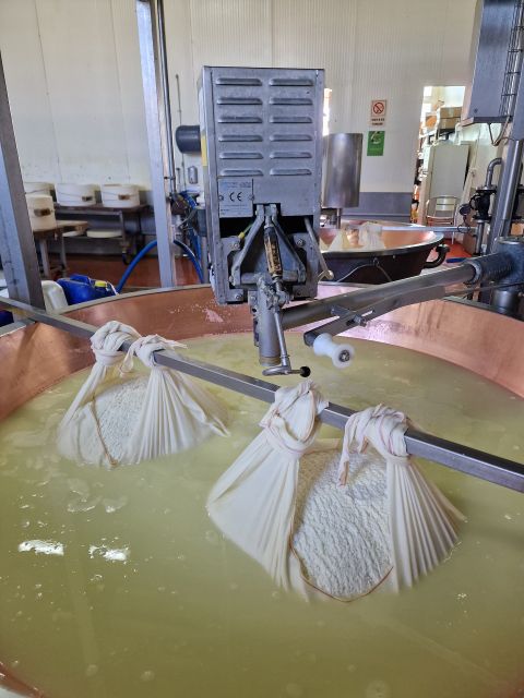 From Bologna: Parmesan, Vinegar, Lambrusco with Transfer - Getting Picked Up in Bologna or Modena: the Day’s Pace