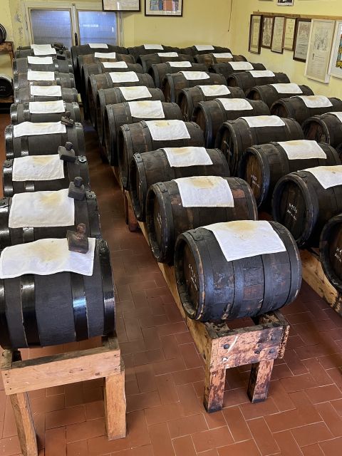 From Bologna: Parmesan, Vinegar, Lambrusco with Transfer - Lambrusco Winery Visits: Red Sparkle, Guided Stops, and Tastings