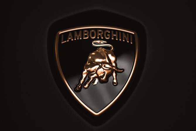 Full Day Super Cars, Parmesan, Balsamic Tour w/Light Lunch - Modena Dairy Farm for Parmigiano Reggiano: Where the Cheese Story Gets Real