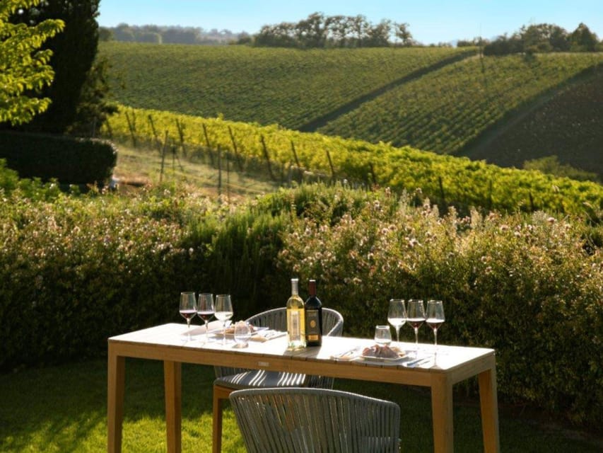 Luxury Wine Tasting with Food Pairing near Bologna - The Bologna Hillside Start: Umberto Cesari and Castel San Pietro Terme