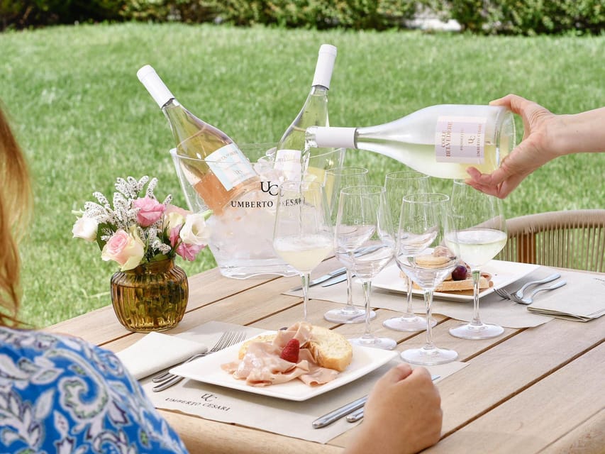 Luxury Wine Tasting with Food Pairing near Bologna - The 90-Minute Tasting Flow: Three Wines, Three Pairings