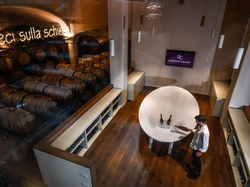 Luxury Wine Tasting with Food Pairing near Bologna - Barrel Room 101: How the Aging Process Shapes What You Drink