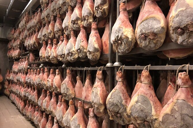 Modena Food:Prosciutto,Parmigiano,Balsamic,Wine,Lunch,Transport - A Full-Day Route Built Around Four Icons of Emilia-Romagna