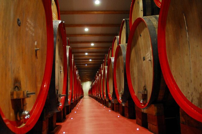Modena Food:Prosciutto,Parmigiano,Balsamic,Wine,Lunch,Transport - Stop 4: Gavioli Antica Cantina Wine Museum and Three Tastings