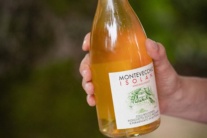 Montevecchio Isolani wine tasting experience - Wine Tasting and Snacks: How to Taste Like You Mean It