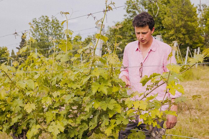 Montevecchio Isolani wine tasting experience - The Logistics Details That Matter on the Day