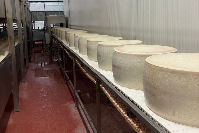 Parmesan and Balsamic Food Tour with Ferrari Museum - Cheese tasting: multiple ages, plus ricotta and caciotta