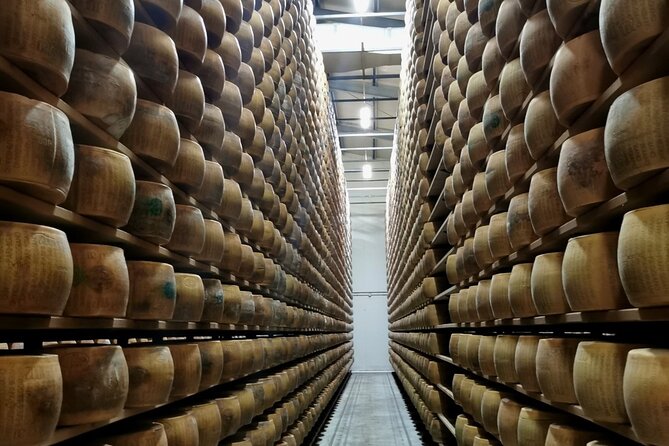 Parmigiano Wine and Balsamic Vinegar Experience from Bologna - Key highlights at a glance