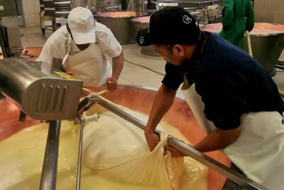 Parmigiano Wine and Balsamic Vinegar Experience from Bologna - Stop 1 at Azienda Agricola Moscattini: Parmigiano and fresh ricotta