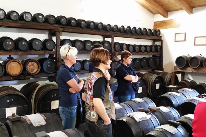 Private Day Tour & Lunch: Parmesan, Wine, and Vinegar Tasting - Key Highlights to Know Before You Go
