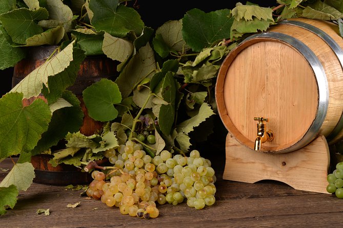 Private Day Tour & Lunch: Parmesan, Wine, and Vinegar Tasting - Stop 2: Gavioli Antica Cantina Winery Museum and Wine Pairings
