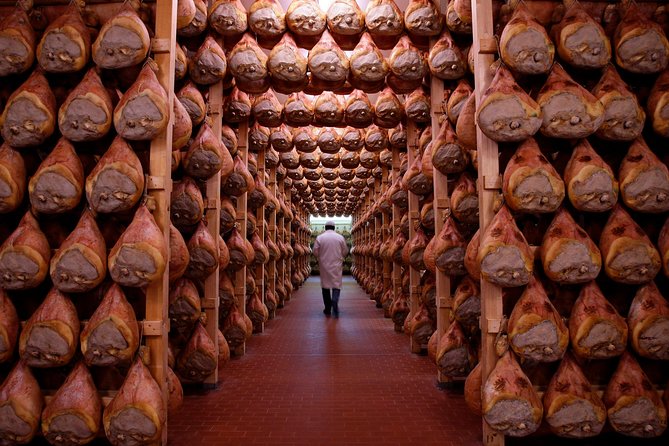 Private Emilia Romagna Food Tour Full Day - Emilia Romagna the easy way: a private food route that actually connects the dots
