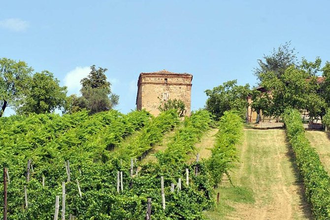 Wine experience Bologna hills - Key highlights to know before you go