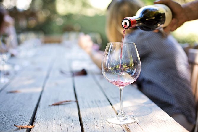 Wine experience Bologna hills - Why the Bologna Hills Feel Like a Real Taste of Emilia-Romagna